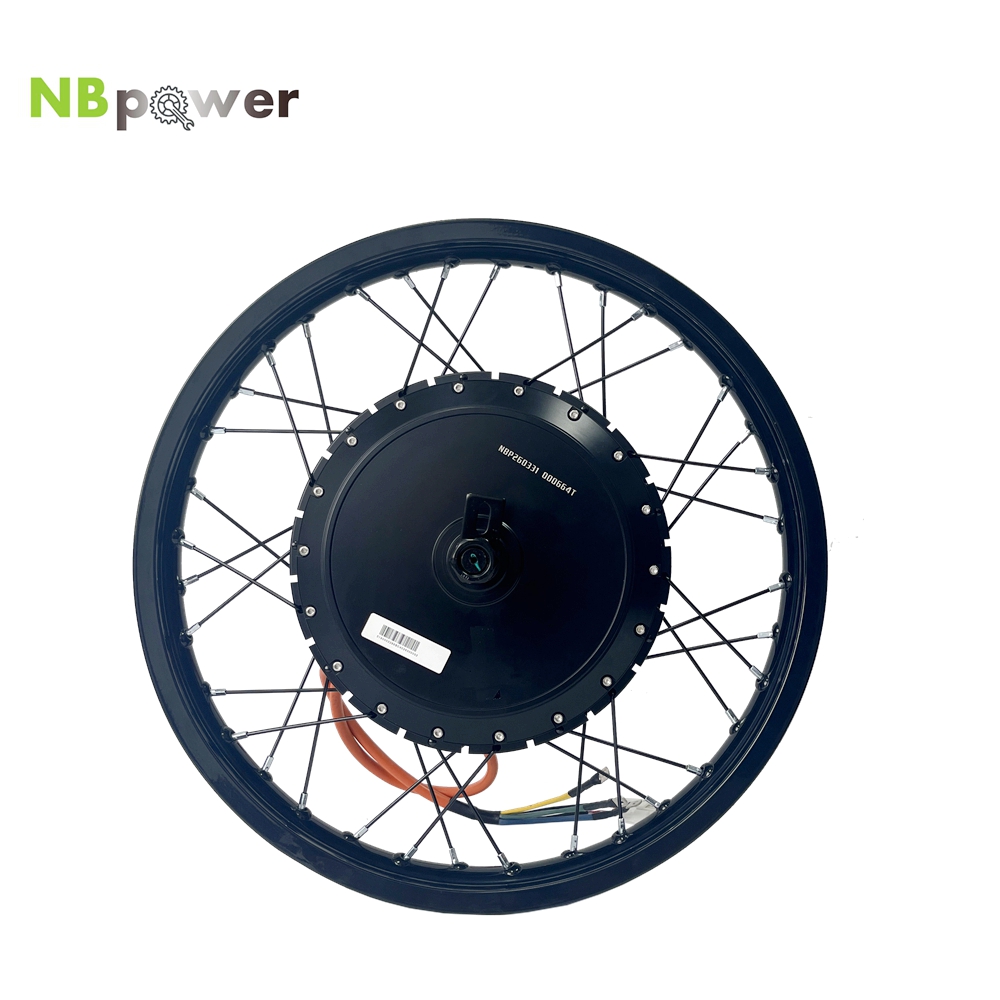 NBpower/170mm Dropout QS 273 4 - огляд і ціна Qs Motor 273 8000W Hub Motor